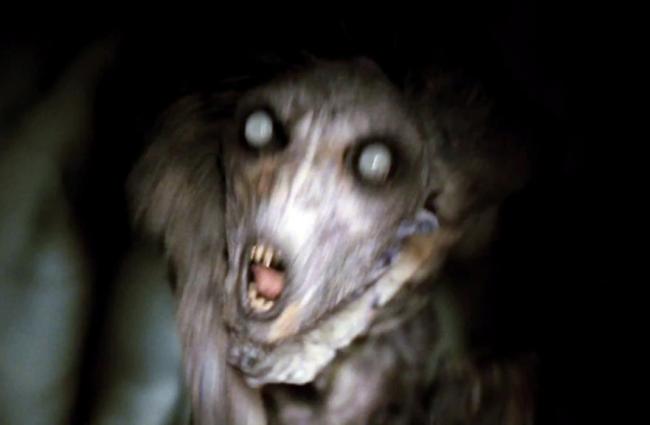Unser Filmtipp: Don’t Be Afraid Of The Dark