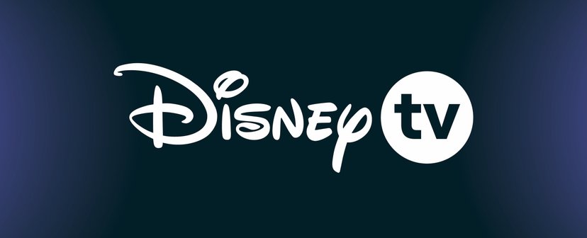 Disney TV logo